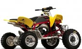 2009 Cobra ECX70 photo